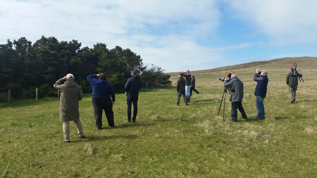 Folk Flock tae Flotta