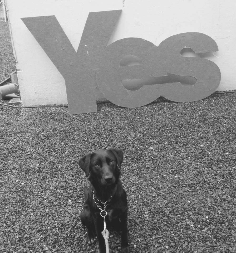 Stands Scotland Where It Did?