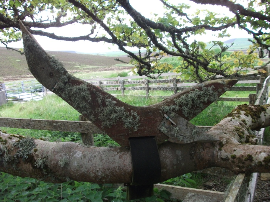 Weather Forecast: Rather cloudy with some mist and fog. Northeasterly breezes.
