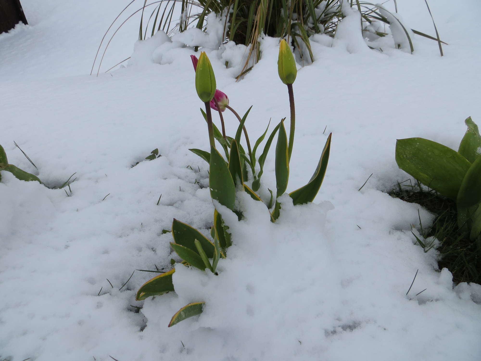 Weather Forecast: Cold today with some wintry showers.