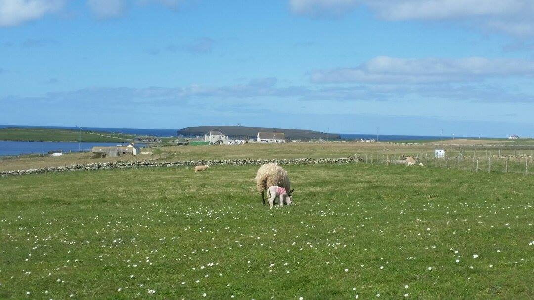 Weather Forecast 12 April: Mainly dry with sunny spells today. Rain tonight.