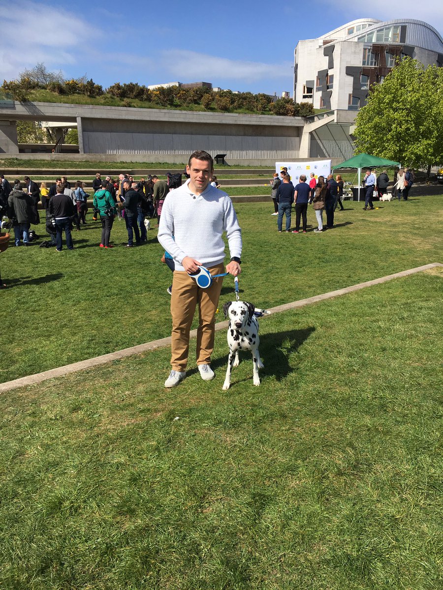 Canines Compete for Crown (at Holyrood)