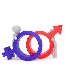 How Equal are We?