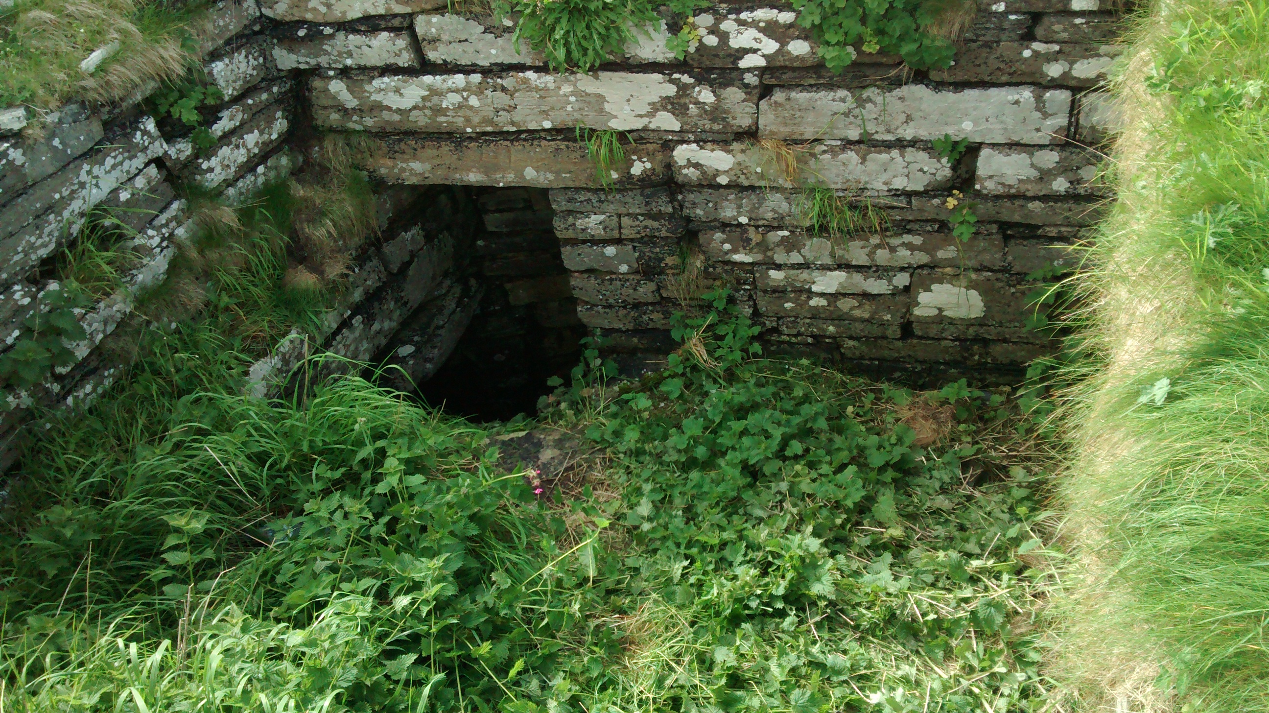 Wirk Rousay – The Orkney News