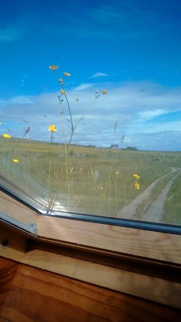 Building a House of Straw: Update