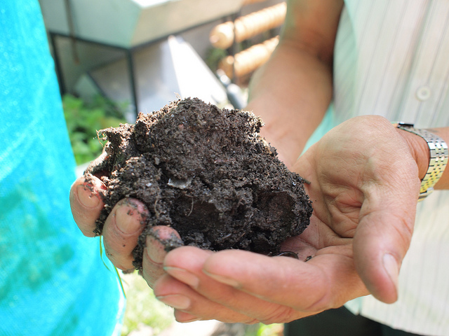 Encouraging the Use of Green Fertilisers