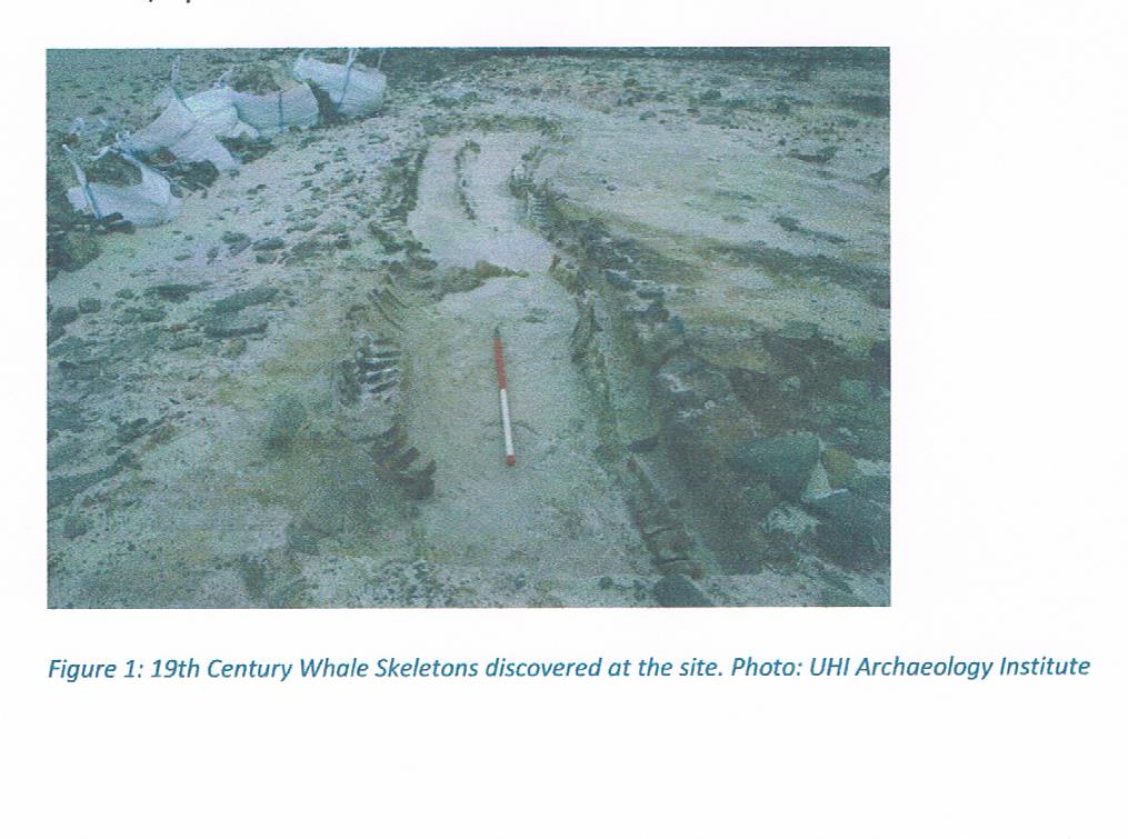 Unearthing Archaeology of Cata Sand