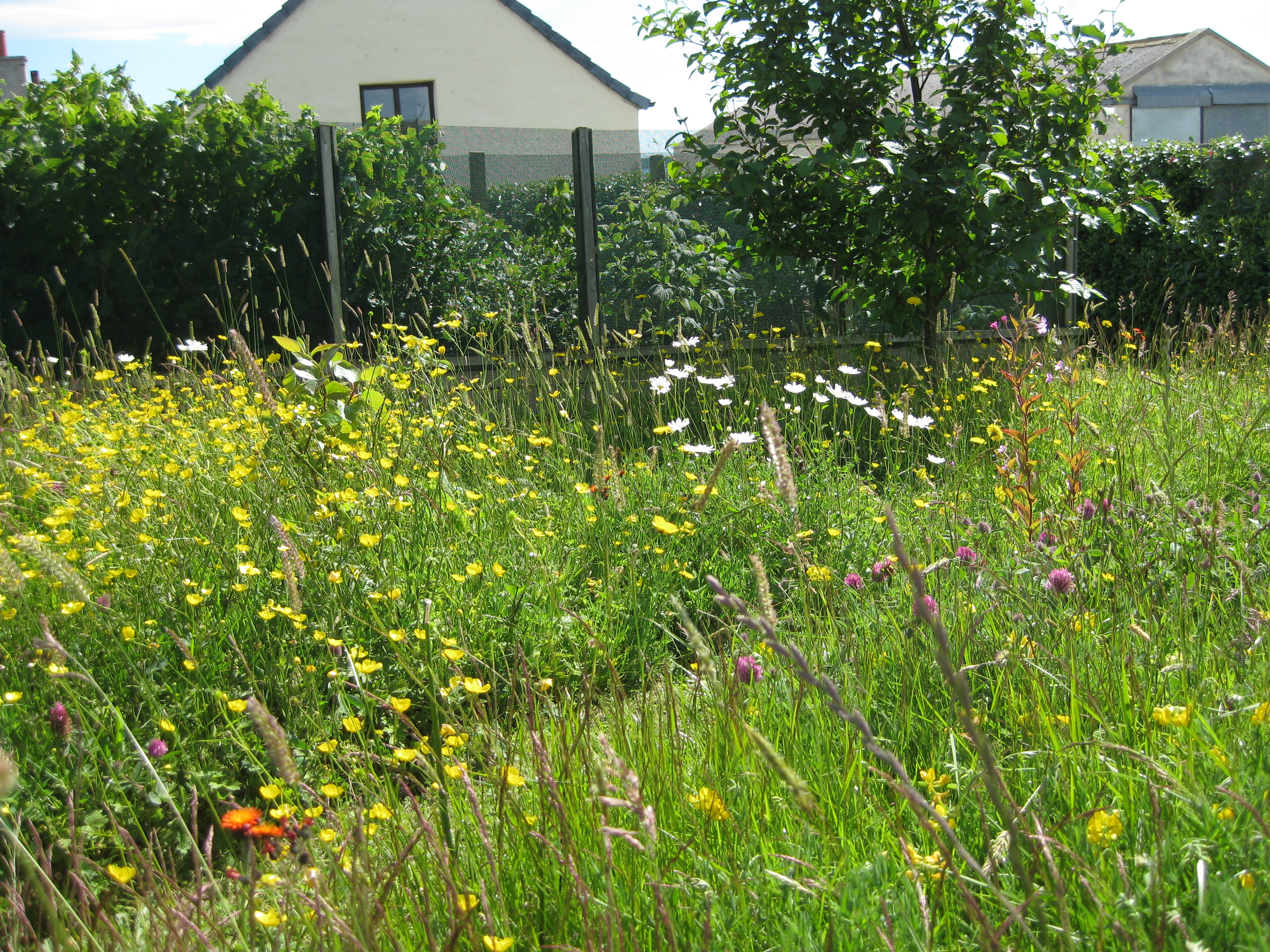 Bernie Bell: I can hear the grass grow