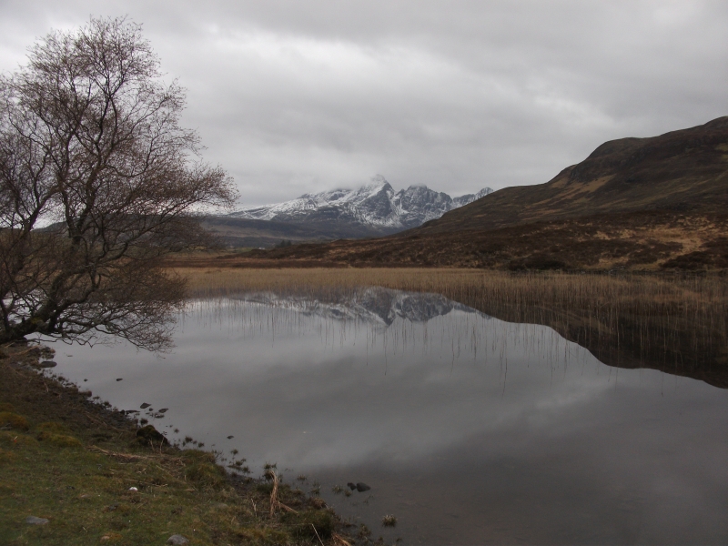 Bernie Bell: Bernie & Mike’s Road Trip – Spring 2017