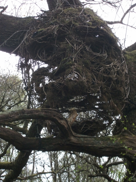 Bernie Bell: Bernie & Mike’s Road Trip – Spring 2017