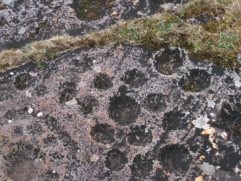 Bernie Bell: Bernie & Mike’s Road Trip – Spring 2017