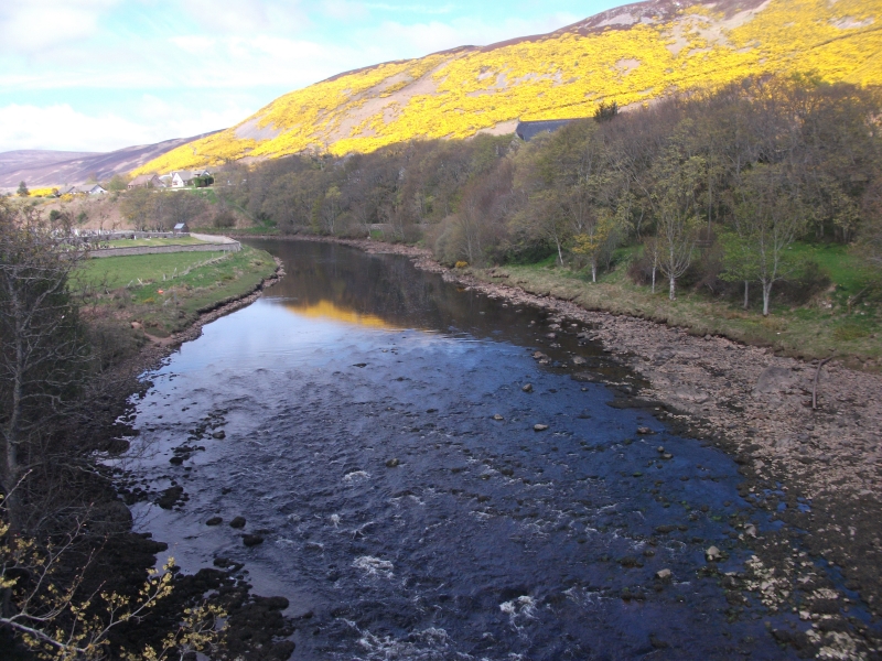 Bernie Bell: Bernie & Mike’s Road Trip – Spring 2017