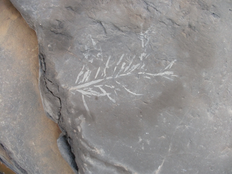 The things you find on an Orkney beach