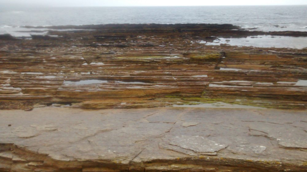the layers of sandstone on the beach at Warbeth