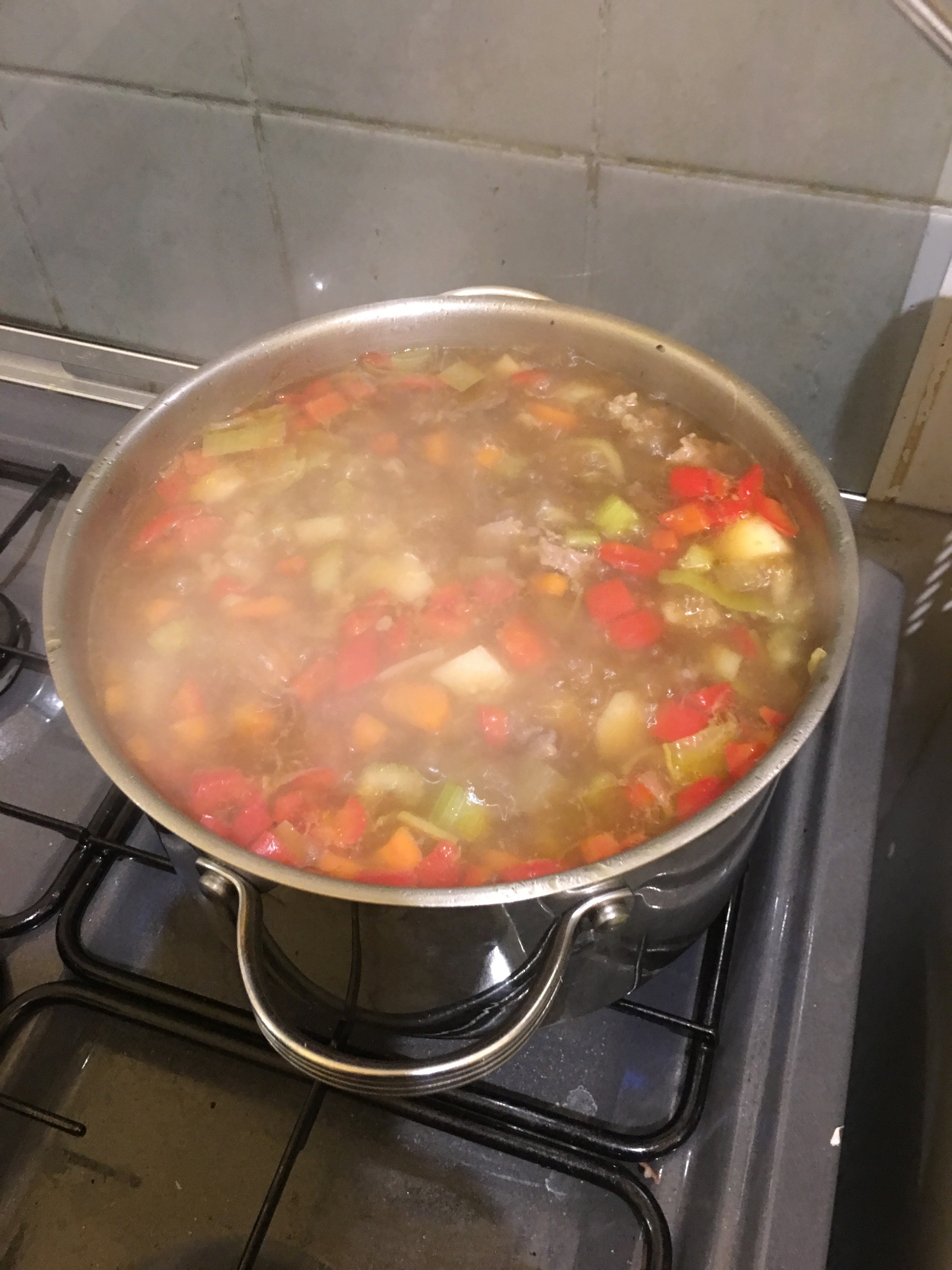 Therapeutic Ox Tail Soup.