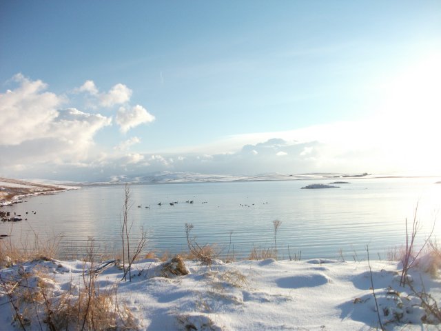 Poetry Corner: In The Bleak Midwinter