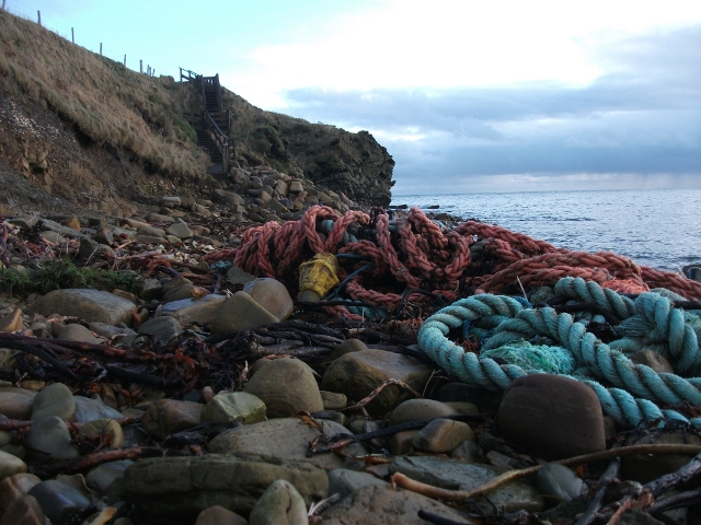 a piece of rope lied at the bottom of a cliff