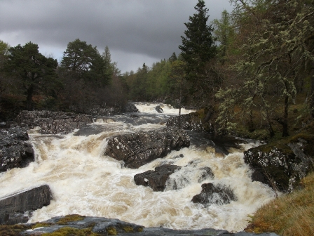 Our Trip to the Isle of Lewis:5 Homeward Bound