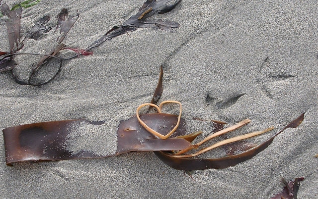 Seaweed Heart