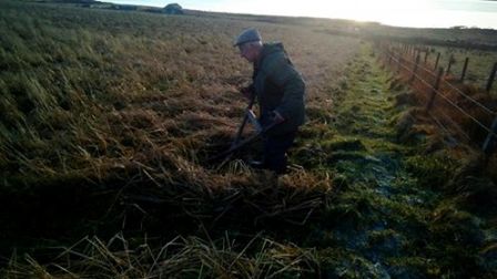Providing Winter Fodder