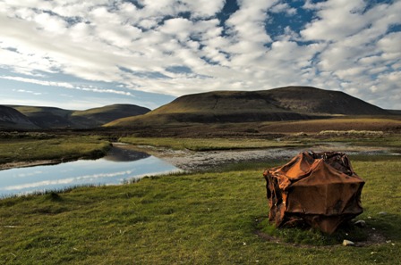 Hoy: Carbon Neutral by 2040?
