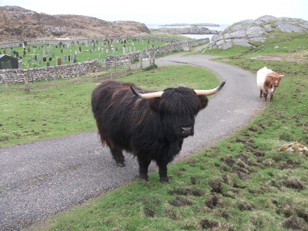 The Western Isles – or There and Back Again V