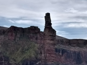 Orkney Nature Cruise with Northlink