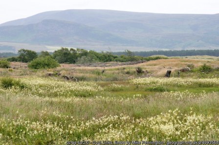 The Coul Links saga shows councillors lack of respect for local opinion