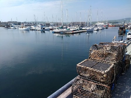 Affordable Housing Key For Sustainable Communities