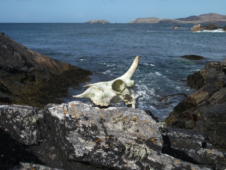 The Western Isles – Or There And Back Again XI