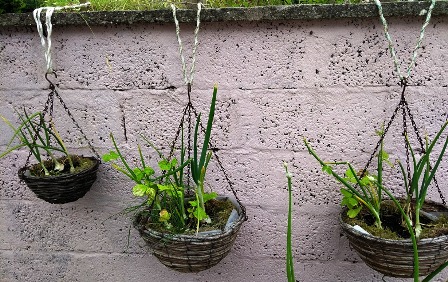 It doesn’t have to be big….to be a garden: Idea No. 10