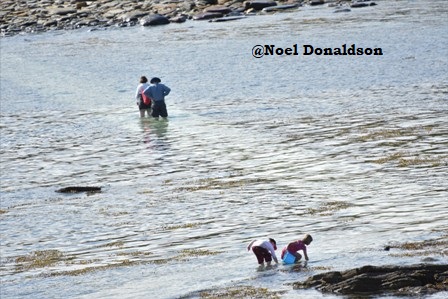 Noel Donaldson: THE best way to keep cool at the Brough of Birsay.