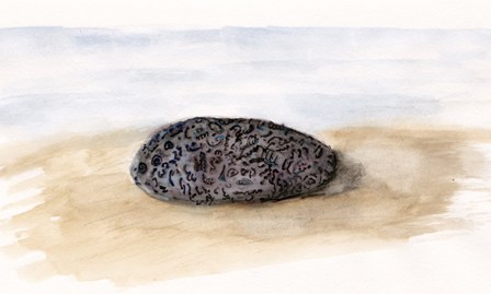 Poetry Corner: Fossil