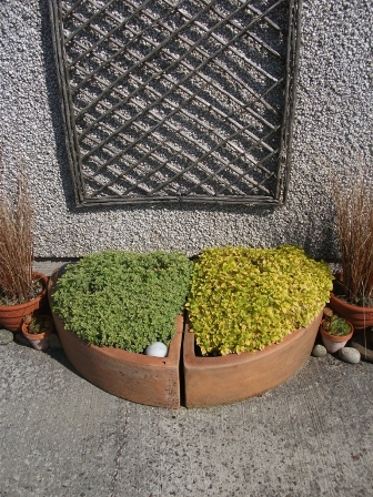 It doesn’t have to be big….to be a garden: Idea No. 8