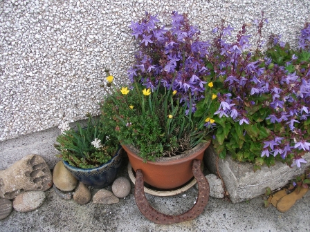 It doesn’t have to be big….to be a garden: Idea No. 9