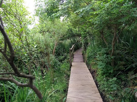 Weather Forecast: Mainly dry with some brightness today.