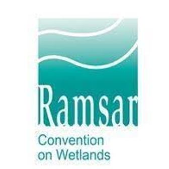 Coul Links: Ramsar status; the UK government has failed in it’s obligations.