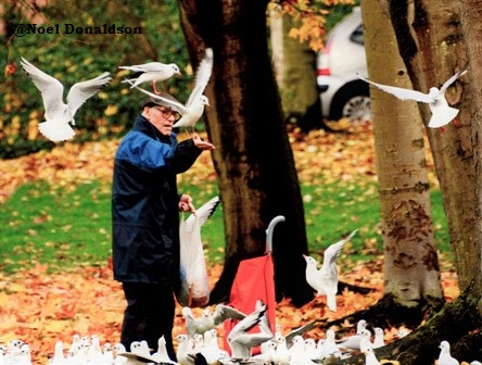 The Birdman of Linlithgow Loch