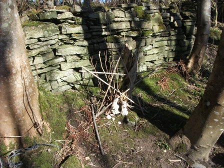 ‘The Ministry and Magic In Early Modern Orkney’