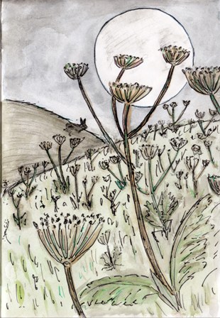 Poetry Corner: The Hogweed