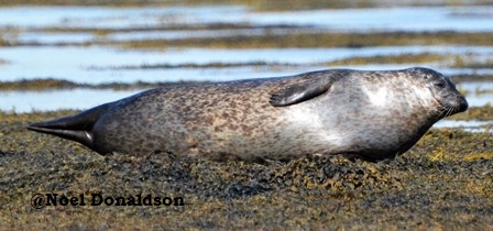 Weather Forecast: Dry with sunny spells. Rain later.