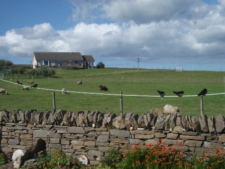 And I think to myself, what a wonderful world………….