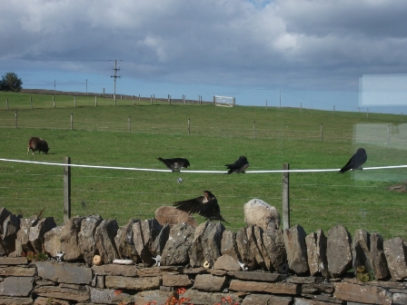 Weather Report: Dry, rather cloudy but brighter spells