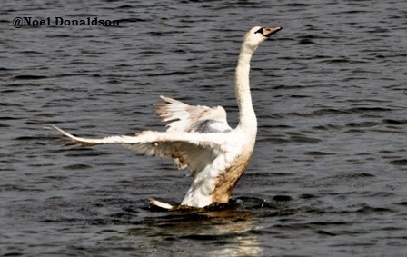 Weather Forecast: Mainly dry day and brighter than of late