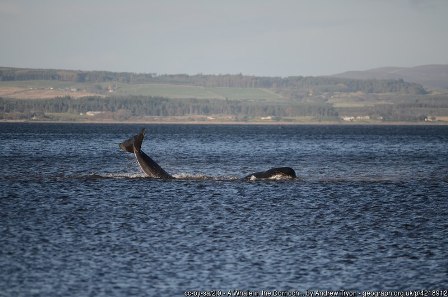 Nick at the Orkney International Science Festival – The Blue Economy