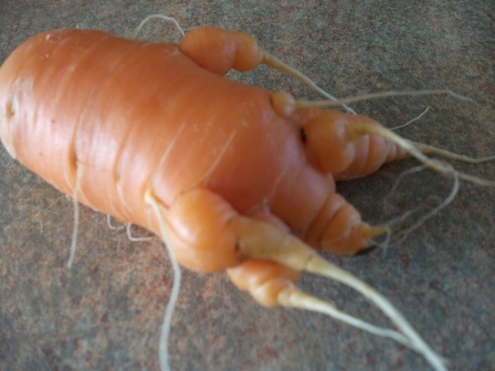 “Vegetables do the strangest things