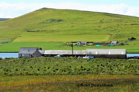 Noel Donaldson: Westray