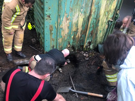 Ethel’s Adventure: A Festive Feel Good Story