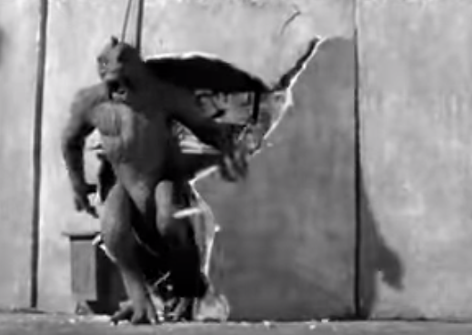 Sgathaich: 20 Million Miles to Earth