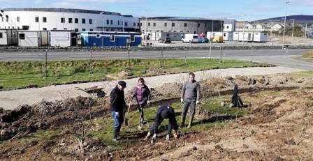 Arcadia Park Progress